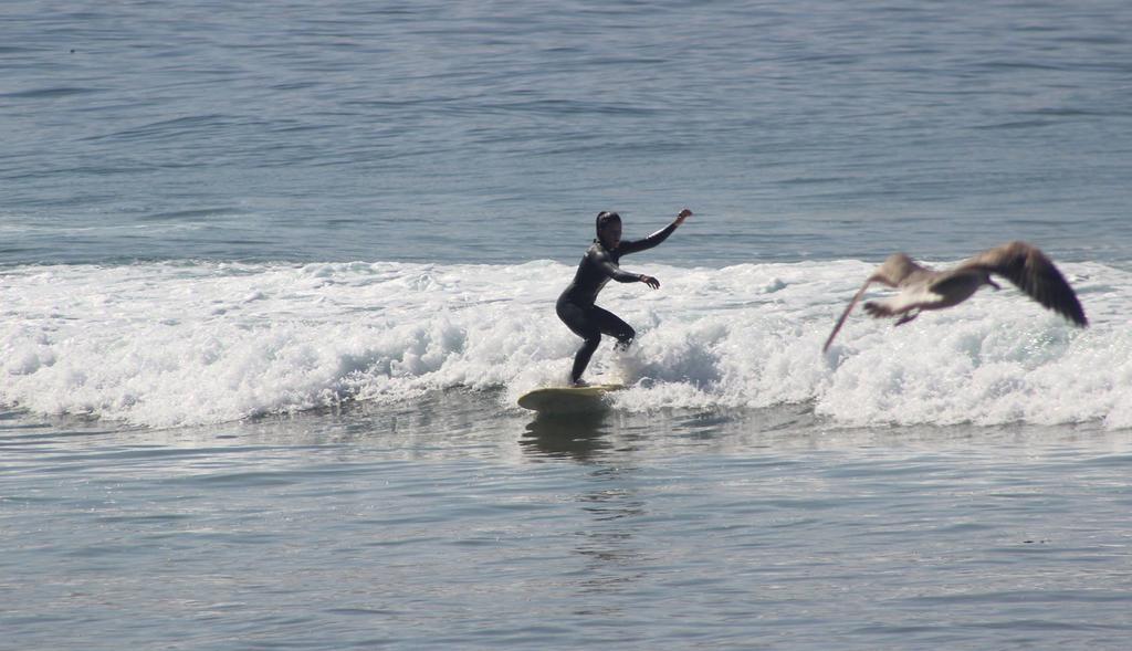 Aloha Surf Camp Maroc Hotell Tamraght Exteriör bild